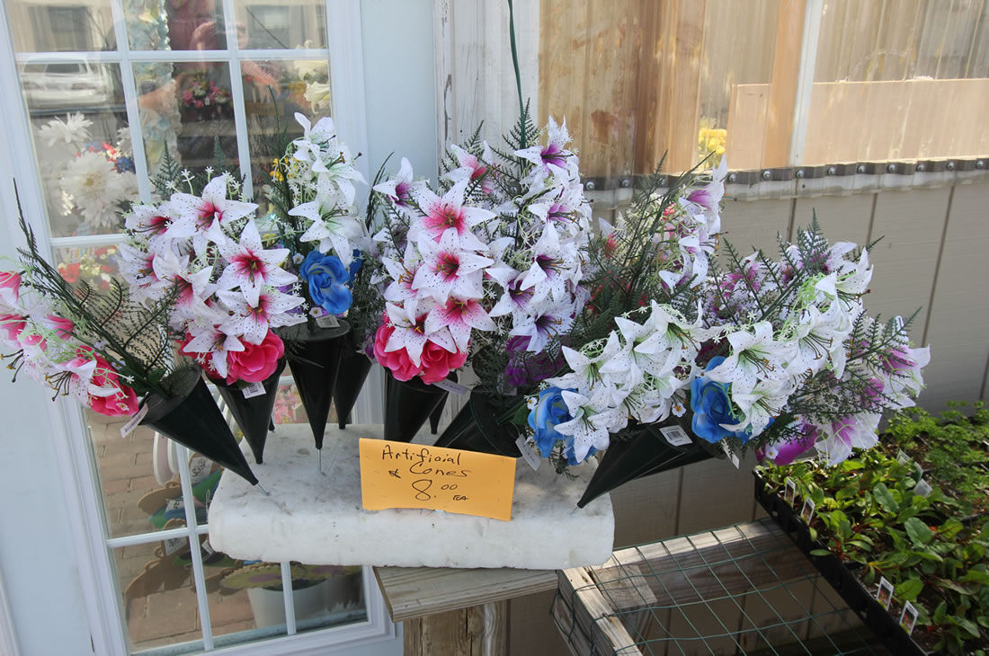 Seasonal Garden Center Longford Princeton, Lawrenceville, Hamilton NJ