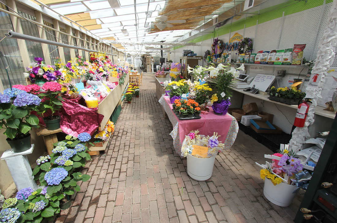 Seasonal Garden Center Longford Princeton, Lawrenceville, Hamilton NJ