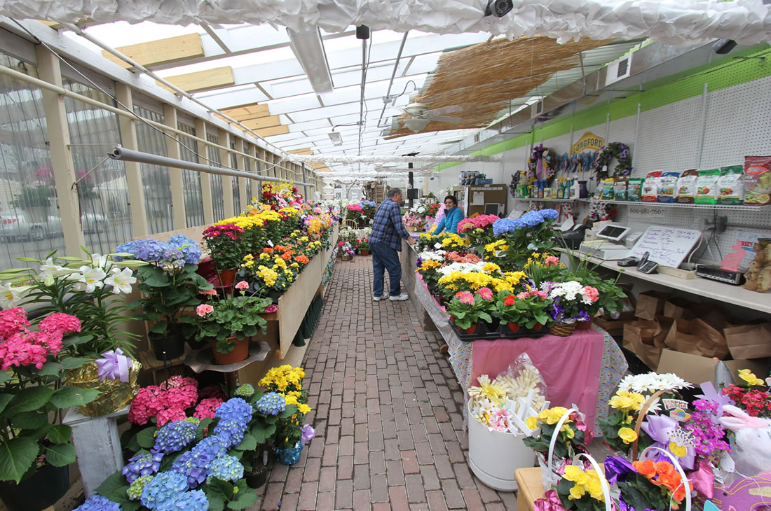 Seasonal Garden Center Longford Princeton, Lawrenceville, Hamilton NJ