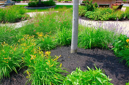 Landscaping by Longford serving Long Beach Island LBI, Ocean County and NJ